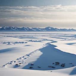 Cover av låten Canada