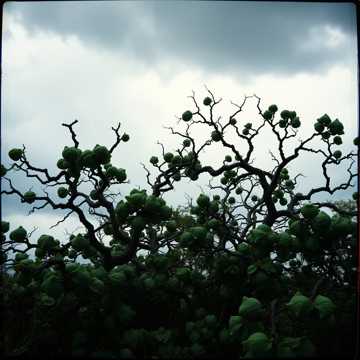 Cover of the song Барби и барбитураты - Крейсер (6-1)