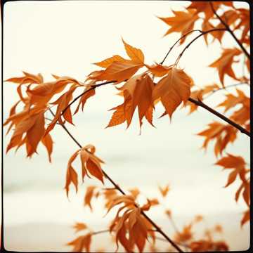 Cover of the song Misfit