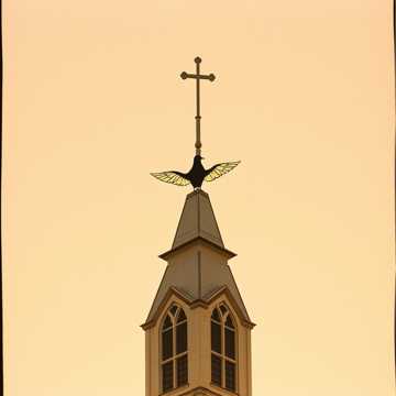 Cover des Liedes PÁSSARO SEM ASAS