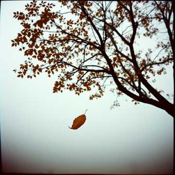 Cover of the song ไม่รักเพราะฉันแก่ ป๊อป
