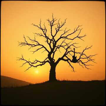 Cover van het nummer 003 Grusza IVh