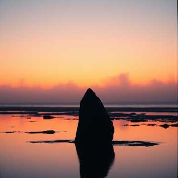 Cover des Liedes Stone Mind