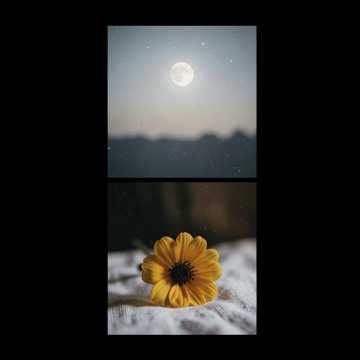 Cover van het nummer buonanotte a te