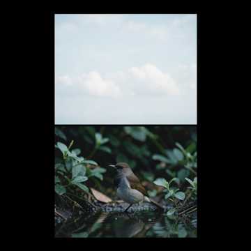 Cover of the song я