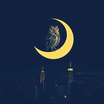 歌曲的封面من اجل غزه