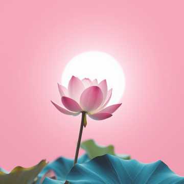 Cover of the song BÓNG NGÀI NƠI ĐƯỜNG ĐẠO