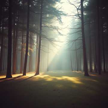 Cover of the song Luz do Eterno