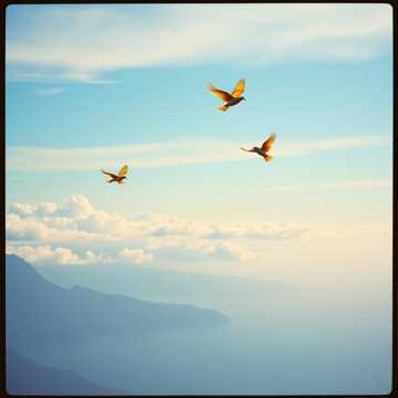 Cover van het nummer ss