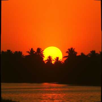 歌曲的封面Zamani