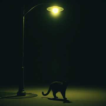 Cover of the song Billie jean