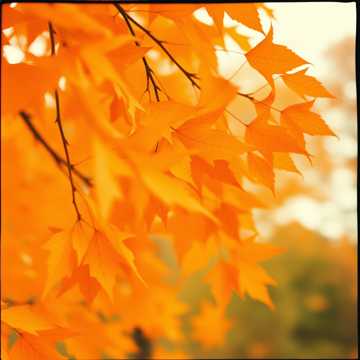 Portada de la canción прикоснись