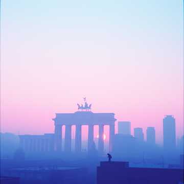 Cover of the song AFD