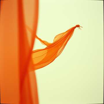 Cover of the song Mi identidad