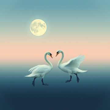 غلاف الاغنية Двойной Вальс