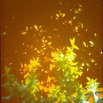 歌曲的封面BAJO TU MANTO