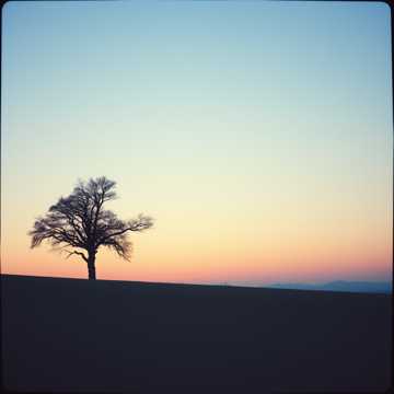 歌曲的封面Sənsizlik Sınağı