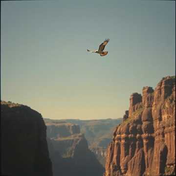 Cover utworu Volare un Falco