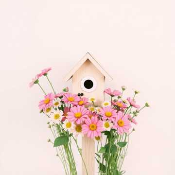 曲のカバー Picike Babám