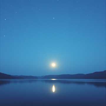 歌曲的封面yohonita