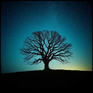 歌曲的封面967 Я Жива Страж Рая Врат Лилит 13 Сефирота