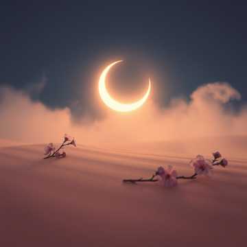 Portada de la canción ابو لمياء