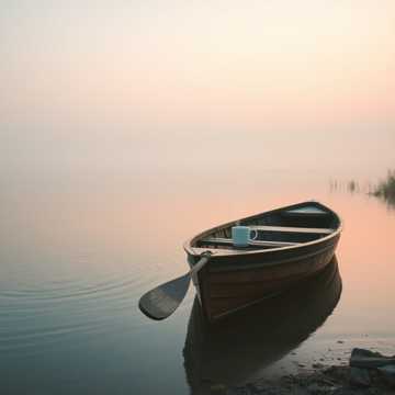 曲のカバー dal5