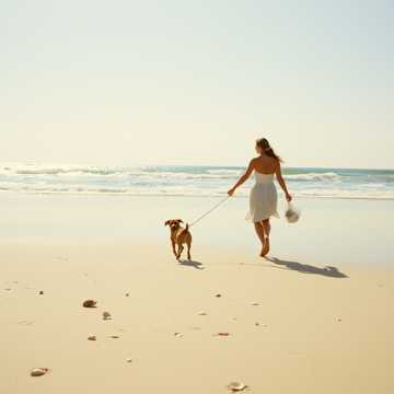 歌曲的封面Zomerse Wandeling