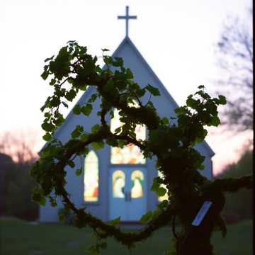 A dal borítója TRONG MỘT THÂN NHO (1)