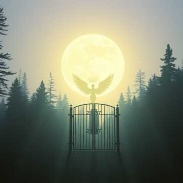 Cover des Liedes 2137 Я Жива Страж Рая Врат Лилит 13 Сефирота