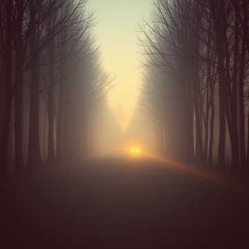 歌曲的封面Pozostałości krzemowego lasu