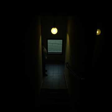 歌曲的封面A sötétség és  sörény