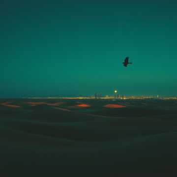 歌曲的封面يا وطن