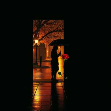 Capa da música Observa