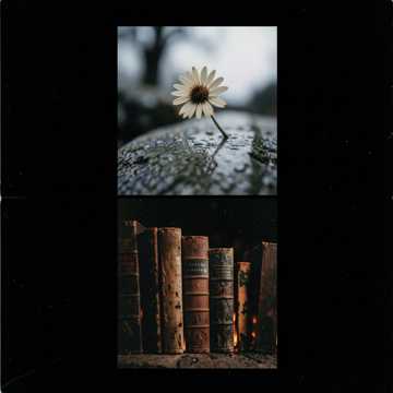 Cover des Liedes Premiera