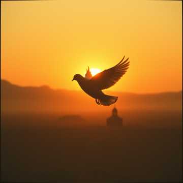 Bìa bài hát Ahnelo conoserte