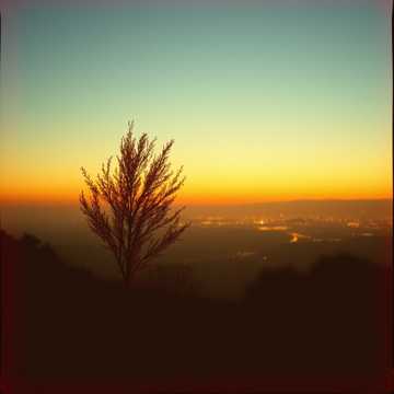 Copertina della canzone тополя мои тополя