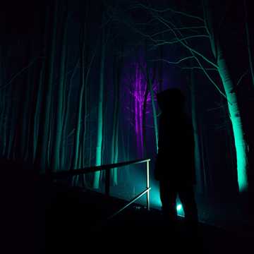 غلاف الاغنية 99 éj az erdőben