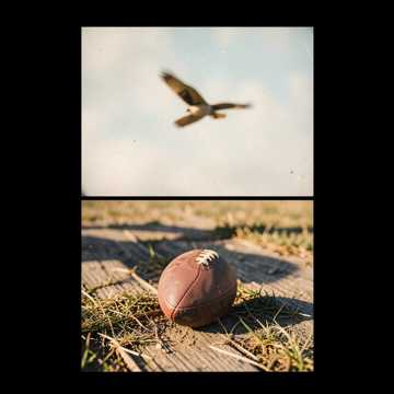 Couverture de la chanson Los halcones