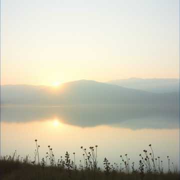 คัฟเวอร์เพลง giac ngo