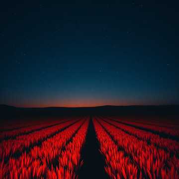 曲のカバー Огонь в полях