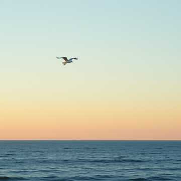 Cover of the song Ve phia mat troi