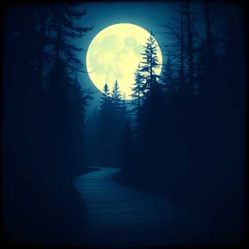 Cover of the song Un Camino Sin Fin