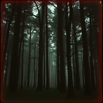 Cover utworu Тайга