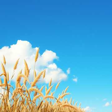 노래 표지 벌교의 하루2