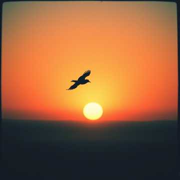 Cover of the song يوم الوداع