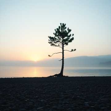 Cover des Liedes Unutpa