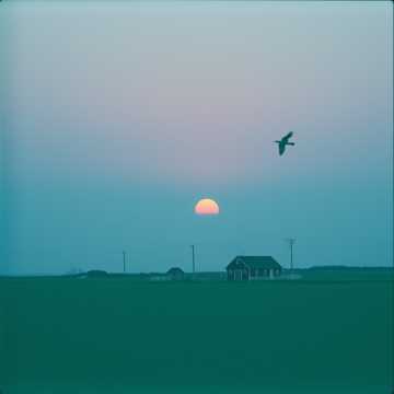 曲のカバー แสงเย็นปลายฟ้า