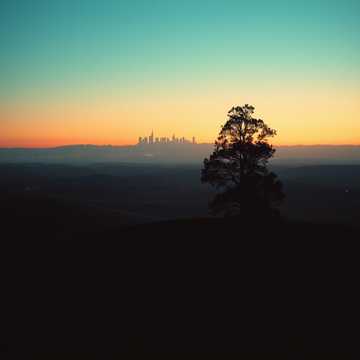 Cover utworu Jaram Skuna