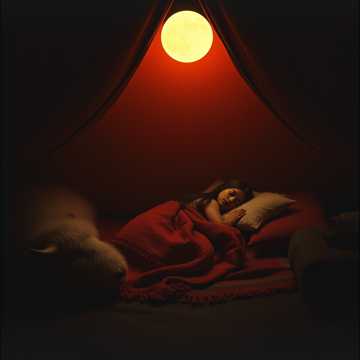 Cover av låten Die letzte Kriegerin (Schattentraum) III